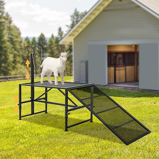 Metal Trimming Stand for Sheep Goat Livestock Stand with Adjustable Height 20.5-31.5in Milking Stand with a Ramp