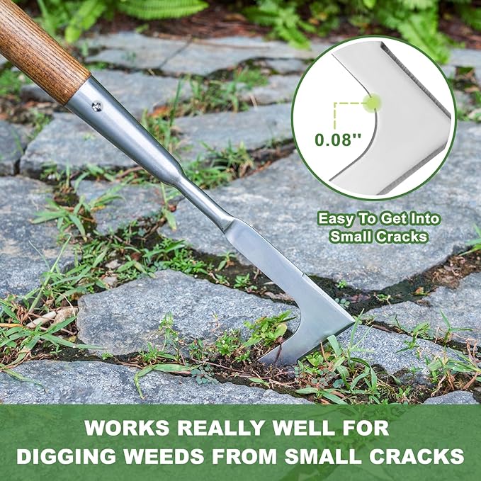 Haliaeetus Long Handle Crack Weeder Tool, 62'' L-Shape Stainless Steel Crevice Weeding Tool, Comfortable Wood Handle Paver Weeder, Sidewalk Weed Removal Tool for Driveway, Bricked Patio,Terrace Paving