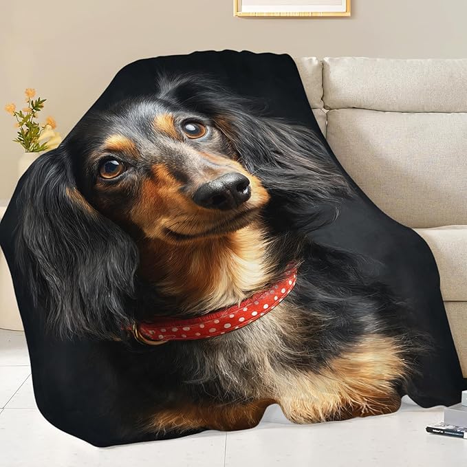 Dynova Long Haired Dachshund Blanket Dog Lovers Gifts Cozy Plush Beautiful Animal Throw Blankets Fuzzy Flannel Fleece for Girls Boys Women Men 80"X60"