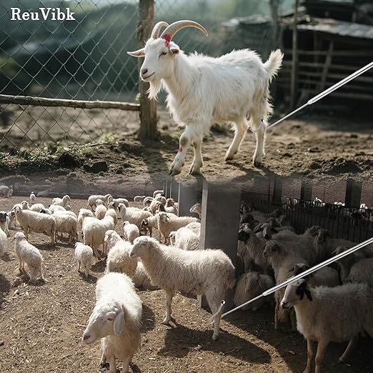 Sheep Goat Catcher Hook, 304 Stainless Steel Sheep Leg Hook Goat Catcher, Length Can Be Adjusted Freely 44"48"59"63"75" Catching Tools, Grab Them Simply and Quickly