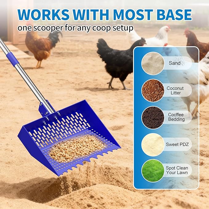 2-in-1 Chicken Poop Scooper & Rake 12-Inch Large Metal Shovel Head Adjustable Stainless Steel Handle (24 to 64") Litter Sifting Shovel Cleaning Tools for Chicken Run, Animal Farm (Blue)