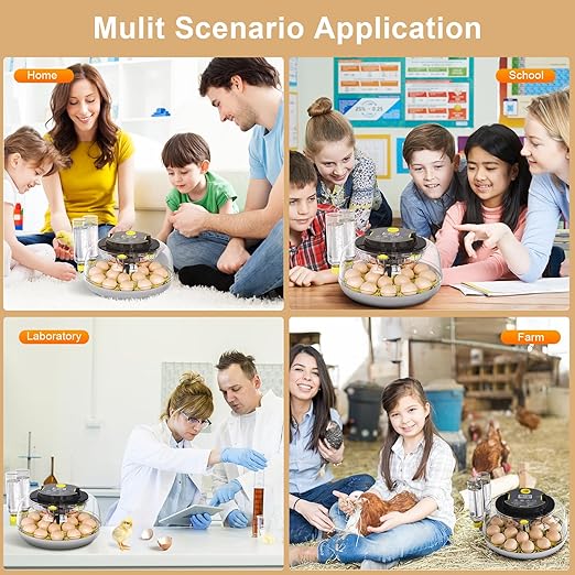 Incubator for Hatching Eggs-18 Egg Capacity, Automatic Egg Turner, Temperature & Humidity Control, 360° Viewing for Chicken, Duck and Quail Eggs