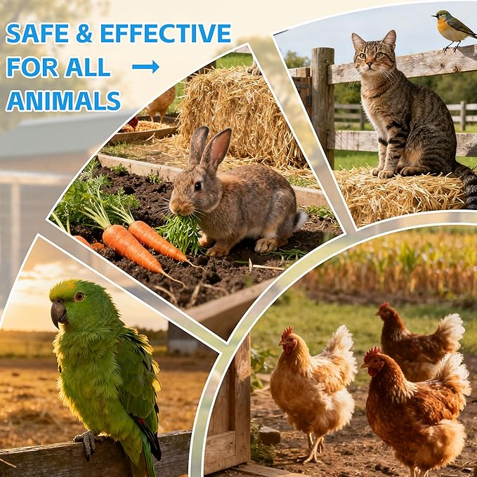 Chicken Wound Spray-Animal Wound Spray- Poultry Care Spray – Healing Aid and Skin Repair for Chicken Wounds, Pecking Injuries, Bumblefoot, Vent Prolapses, Cuts, Burns – USA Made. 300ml