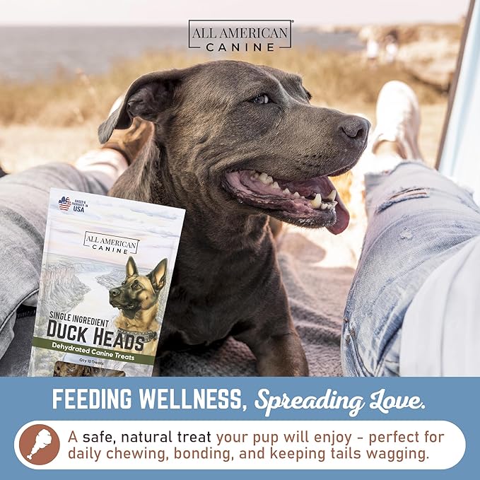 30 Natural Duck Head Dog Treats – Single Ingredient, Dehydrated & Digestible – Low-Fat, High-Protein Chew for Training & Dental Health – Made in USA
