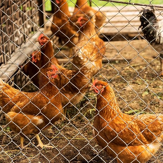 Cattle Panel for Deer Fence, Goat Fence, Cattle Fencing -2.55" Mesh 5.6ft x 57ft 12Gauge Galvanized Steel Wire Panels for Horses, Large Livestock, Field Fencing Roll, Farm Yard Barrier