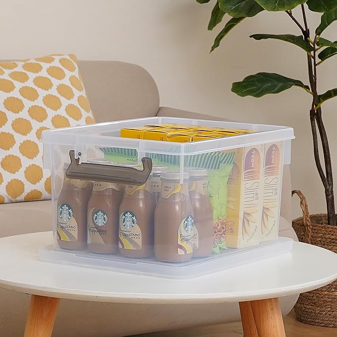 Citylife 22.2 Qt. Plastic Storage Bins with Lids Large Stackable Storage Containers for Organizing Clear Durable Storage Box, 4 Packs