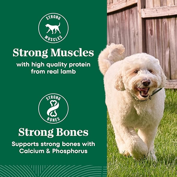 Nutro Natural Choice Senior Dog Food, Lamb & Brown Rice Recipe, 30 lb. Bag