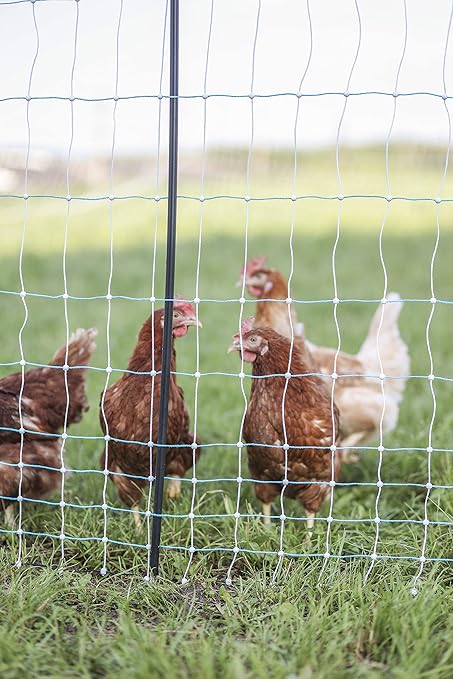 Starkline 42" x 164' Standard Electric Poultry Netting Kit with A/C Energizer (11/42/3) Electric Chicken Fence Kit for Backyards, Homesteads, and on Farms and Ranches