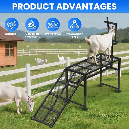 Goat Milking Stand for Sheep & Goats – Adjustable Metal Trimming Platform with Ramp – Sturdy Livestock Grooming Stand with 18.5–28.8" Height Range