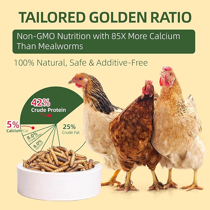 2 LB Dried Black Soldier Fly Larvae for Chickens, High Protein Chicken Feed with More Calcium Than Mealworms, Non-GMO Natural BSFL Treats for Laying Hens, Ducks, Quail, Birds & Reptiles