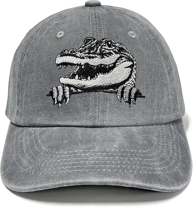 Embroidered Baseball Hats for Men and Women