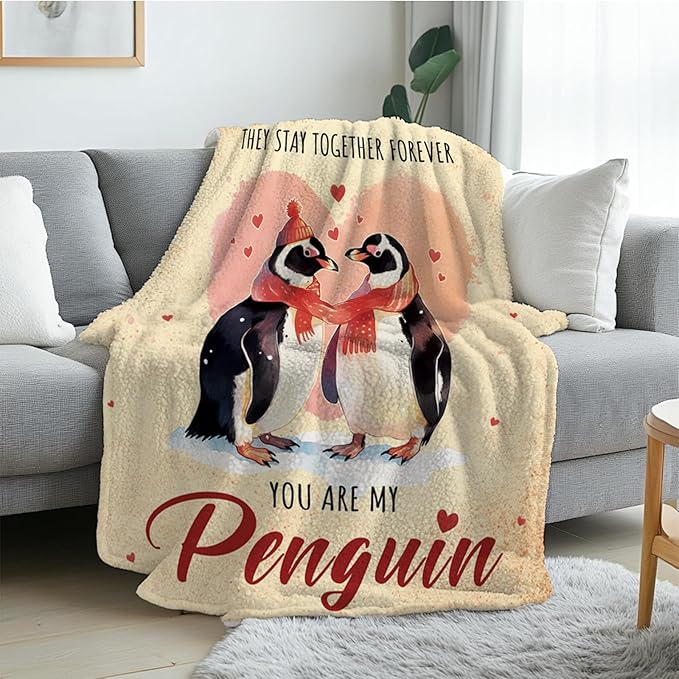 Anniversary Blanket Gifts, Romantic Gifts for Women Men, Wedding, Valentine's Day, Birthday Gifts for Wife, Girlfriends, Husband, Couples Blanket Gifts for Chritsmas Thanksgiving 50x60