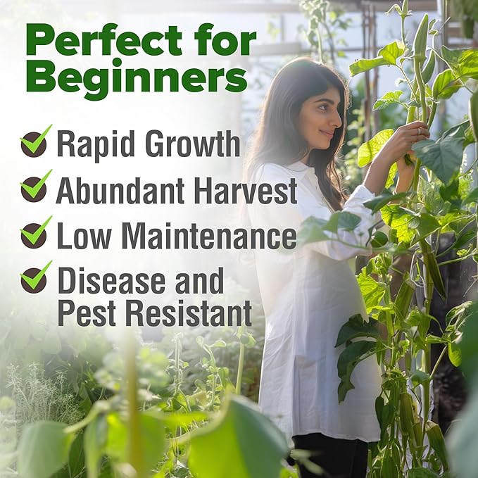 HOME GROWN Clemson Spineless Okra Seeds - 202 (2 Pack) Heirloom Vegetable Seeds, Premium Garden Seeds for Planting Outdoors (Abelmoschus esculentus)