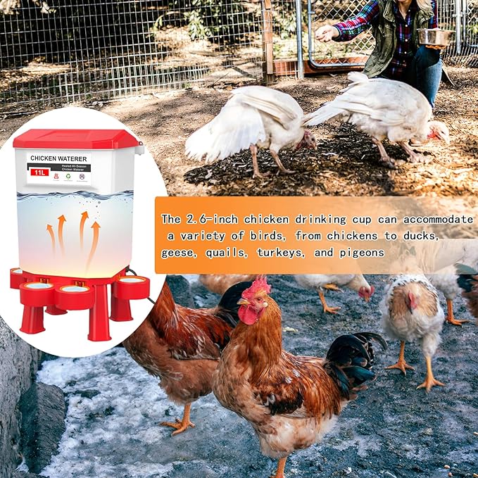 FXiaoy Heated Chicken Waterer, Automatic Poultry Waterer, 11L (Red, 11L)