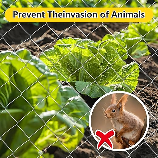 Cattle Panel for Deer Fence, Goat Fence, Cattle Fencing -2.55" Mesh 5.6ft x 57ft 12Gauge Galvanized Steel Wire Panels for Horses, Large Livestock, Field Fencing Roll, Farm Yard Barrier