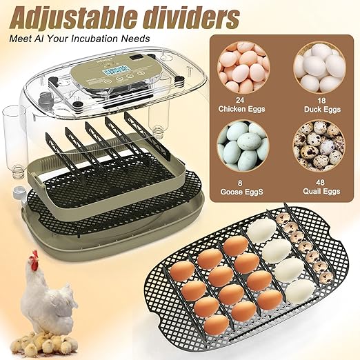Incubators for Hatching Eggs, 24 Egg Incubator with Automatic Turning and Humidity Control, 360° View Incubadora De Huevos De Gallina, Egg Candler, Incubator for Chicken Eggs, Ducks, Goose, Quail