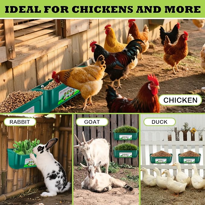 3 Pack Chicken Feeder, Duck Feeder Supplies, Hanging Fence Feed Trough with Clips for Goat, Sheeple, Piglet, Gooses, Turkeys, Dog Livestock Poultry, 8 Quarts in Total, Feed Scoop Included, Green