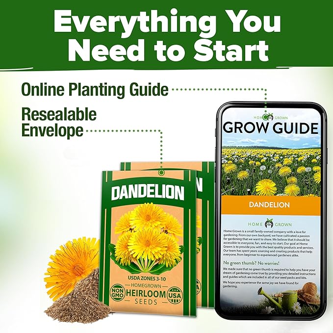 HOME GROWN Dandelion Seeds for Planting – 1200 Heirloom Medicinal Herb Seeds Grow Edible Leaves and Flowers for Remedies or Wildlife (Taraxacum officinale)