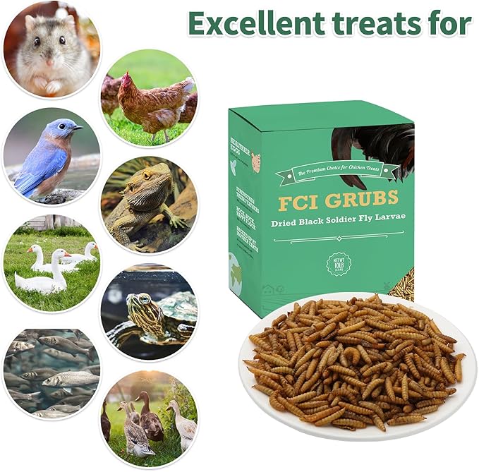 High Calcium,Non-GMO,10LB Dried Black Soldier Fly Larvae for Chickens,60-100X More Calcium Than Mealworms,Treat for Laying Hen,Ducks,Wild Birds,Turtles