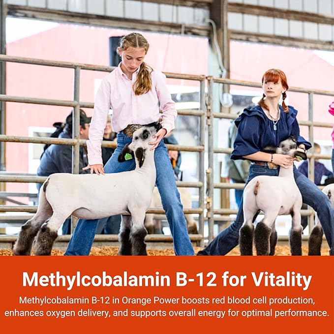 Orange Power Nutrient Supplement for Show Cattle, Sheep, Goats and Pigs - Appetite Stimulant & Performance Booster - Liquid Formula with B12 & Phosphorus (32 Fl Oz.)