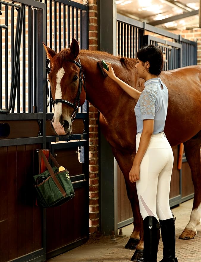 11PCS Horse Grooming Kit Curry Comb Sweat Scraper Horse Bathing Supplies Grooming Tools with Storage Bag Pasture Glow