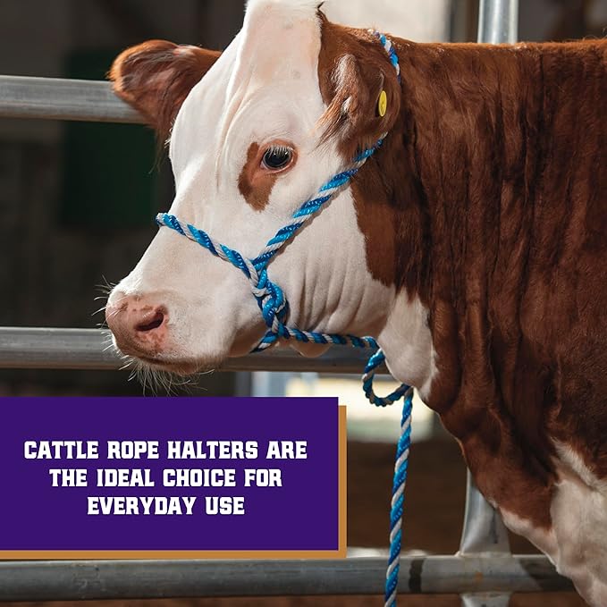 Weaver Livestock Braided Poly Rope Cattle Halter, Adjustable Cow Calf Halter, Livestock Handling Equipment for Showing, Dark Blue/Hurricane Blue/Gray