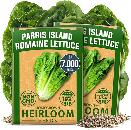 HOME GROWN Romaine Lettuce Seeds, Paris Island Bulk Pack, 7000+ Lettuce Seeds for Planting, High Germination Heirloom Vegetable Seeds,Works Indoor in Hydroponic Garden and Outdoor