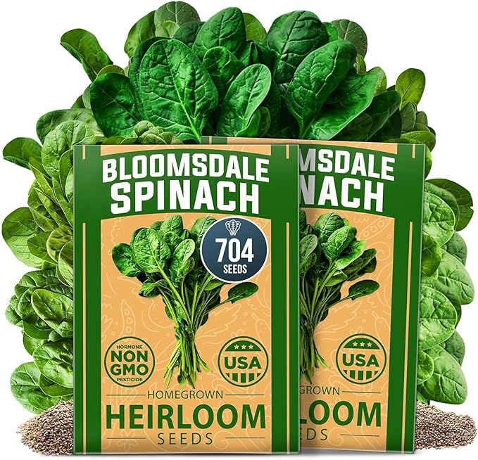 HOME GROWN Bloomsdale Spinach Seeds - 2 Bulk Packs (Spinacia oleracea) – 704 High Germination Heirloom Spinach Seeds for Planting – Leafy Green Lettuce – for Home Gardens