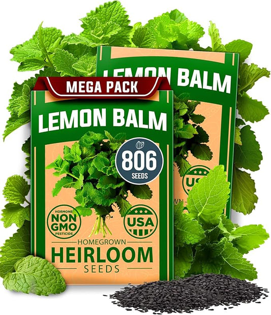 HOME GROWN Lemon Balm Seeds– 806 Non GMO Heirloom Seeds for Planting – Melissa officinalis Herb for Tea, Garden, Indoor or Outdoor Growing–Plant for Pots, Beds & Hydroponics(Melissa officinalis)