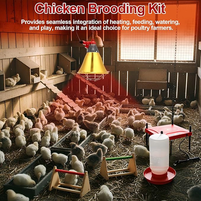 Retisee 8 Pack Winter Chick Heater Brooder Kit Including 12" x 12" Heat Plate 150w Chicken Infrared Red Heat Lamp Feeder and Waterer Kit Perch Flip Top Poultry Feeder for Newborn Livestock Duck Warm