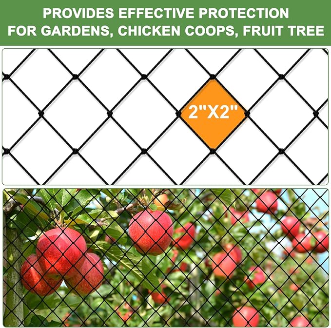 Bird Netting - 25'x25' Heavy Duty Nylon Net with 2' Mesh for Garden Protection, Chicken Coop, Fruit Tree, Orchard