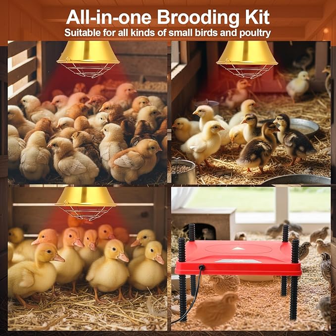 Retisee 8 Pack Winter Chick Heater Brooder Kit Including 12" x 12" Heat Plate 150w Chicken Infrared Red Heat Lamp Feeder and Waterer Kit Perch Flip Top Poultry Feeder for Newborn Livestock Duck Warm