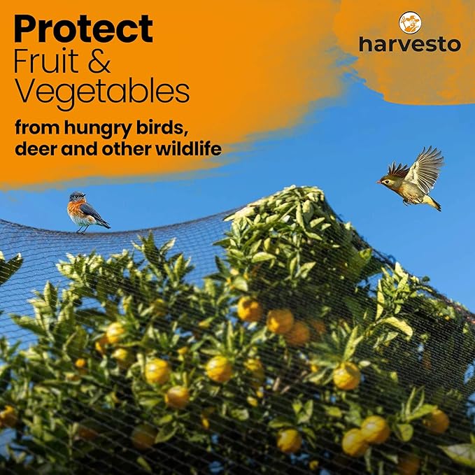 Harvesto Heavy Duty Bird Netting for Chicken Coops & Runs | Tree & Garden Netting Mesh 1-1/2" | Keep Hawks, Birds & Predators Away | Bird Netting for Blueberry Bushes, Vegetables & Fruit (25' x 100')
