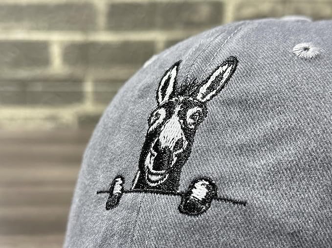 Embroidered Baseball Hats for Men and Women