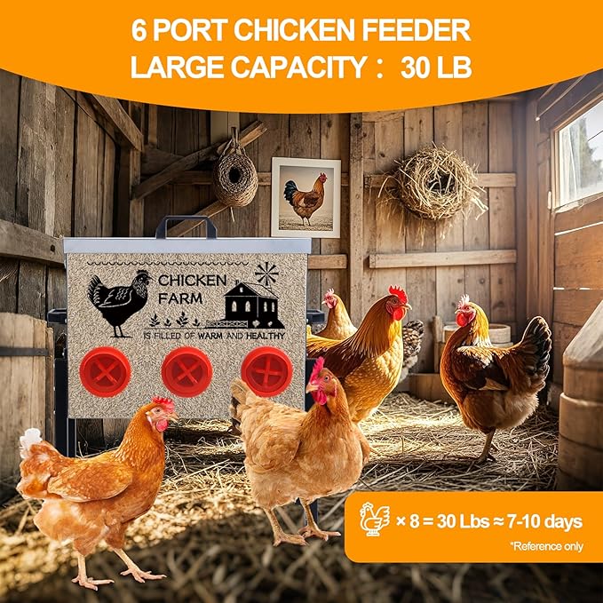 Automatic Chicken Feeder Box 30 lbs, 6 Feeding Ports, No Waste Poultry Feeder with Locking Lid and Adjustable Legs for Chickens, Ducks, Geese Galvanized Metal (30 Lbs-6 Ports)