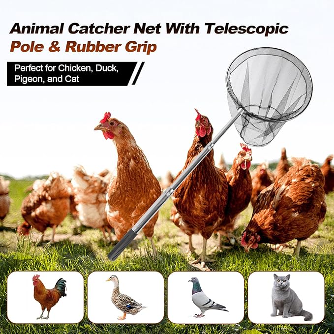 Animal Catcher Net, Chicken Catching Net for Poultry Supplies, Extendable 72" Made of Stainless Steel Fishing net Catcher for Catching Small Duck, Geese, Bird, Bat, Chickens, cat, Poultry