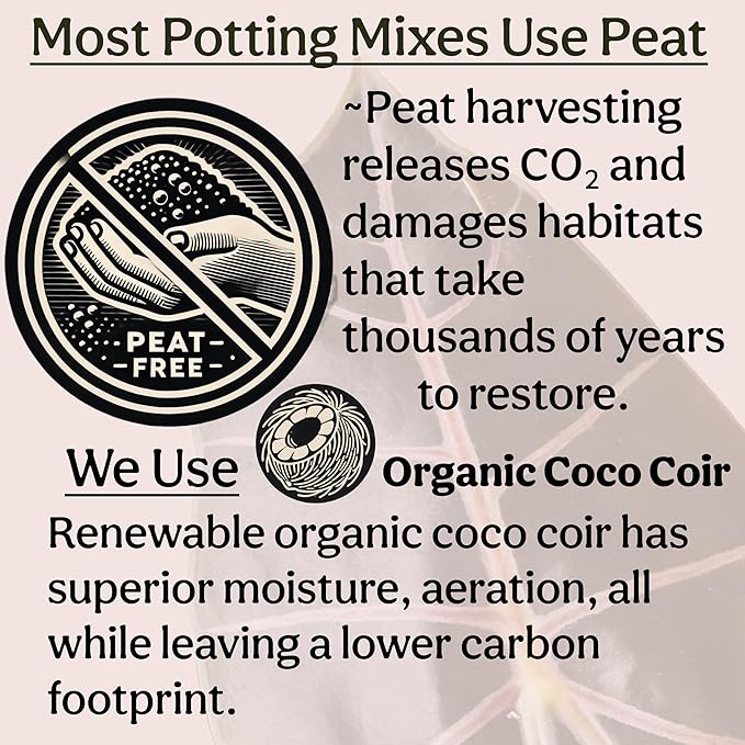 Craft Organic Houseplant Potting Mix, Elite House Plant Soil, Chunky, Well Draining Potting Soil for All Indoor Plants, Tropical Plants & Flowers, Sustainable & Peat Free, Less Prone to Gnats, 8QT