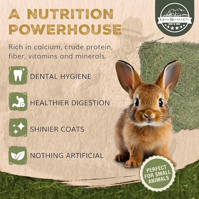 9lb Farm Fresh, USA Grown, Organic Alfalfa Hay for Rabbits, Guinea Pigs, Chinchillas, Goats, Hamsters & Ferrets - Rabbit Food Rich in Protein & Fiber - Just Dried, Hand-Selected