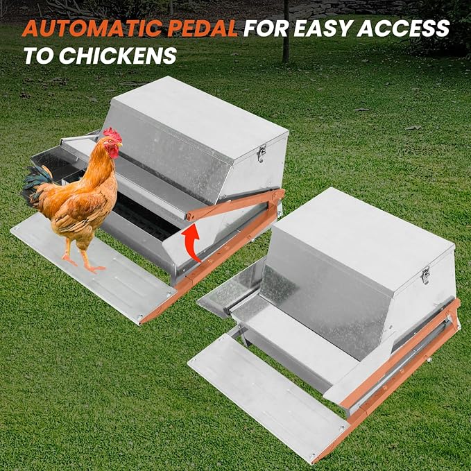 Confote Large Automatic Chicken Feeder Box 20 lbs Galvanized Metal Feed Chicken Feeder Sturdy Galvanized Steel Poultry Feeders - No Spill with Weatherproof Lid for 6-12 Chickens