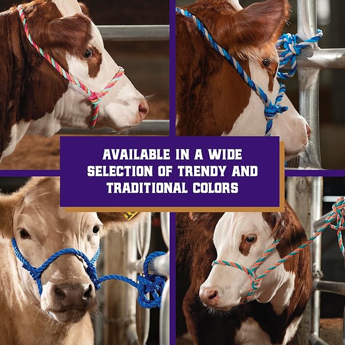Weaver Livestock Braided Poly Rope Cattle Halter, Adjustable Cow Calf Halter, Livestock Handling Equipment for Showing, Dark Blue/Hurricane Blue/Gray