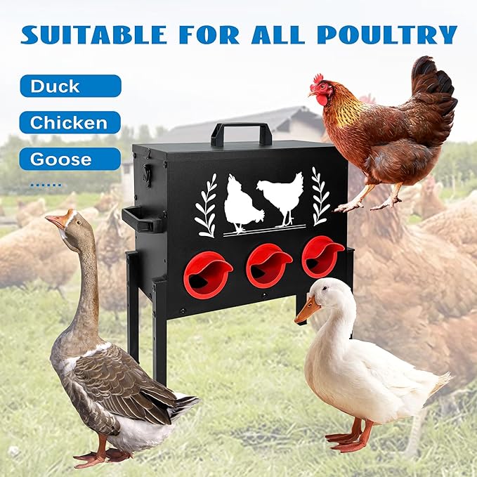 Chicken Feeders, 30 lb Capacity 6 Port Automatic Chicken Feeder, Metal Chick Feeder with Locking Lid and Legs, Chicken Feeder for Chickens, Ducks, Geese(Black)