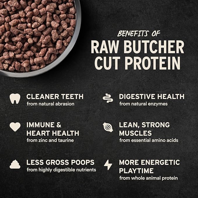 Vital Essentials Freeze-Dried Raw Beef Crunchy Mini Nibs | Complete Meal or Mixer Dog Food | 25 oz