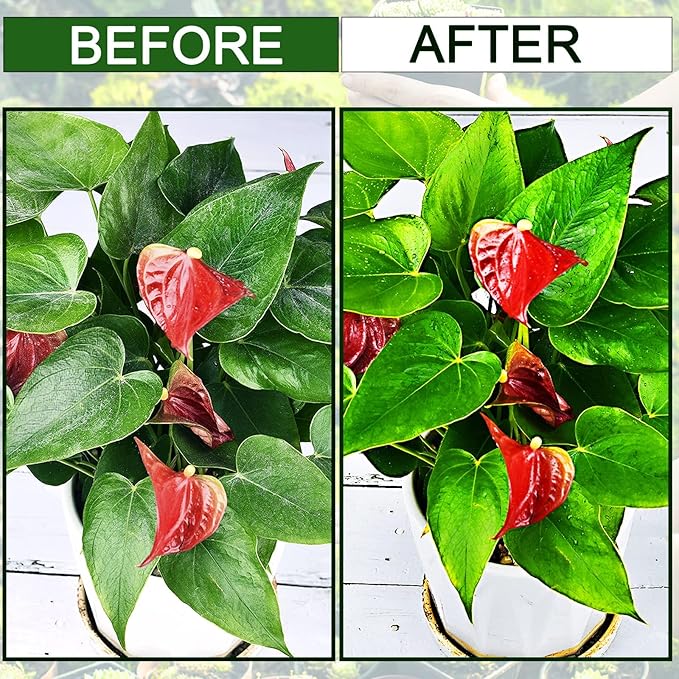 Plants Cleaning Wipes for Leaf Shine, Clean and Photosynthesis, Leaf Cleaner for House Plants Outdoor Plants (80 Wipes)
