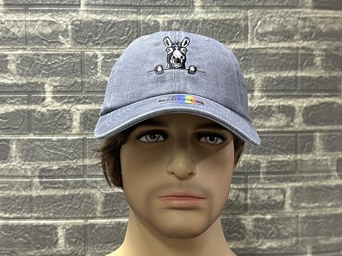 Embroidered Baseball Hats for Men and Women