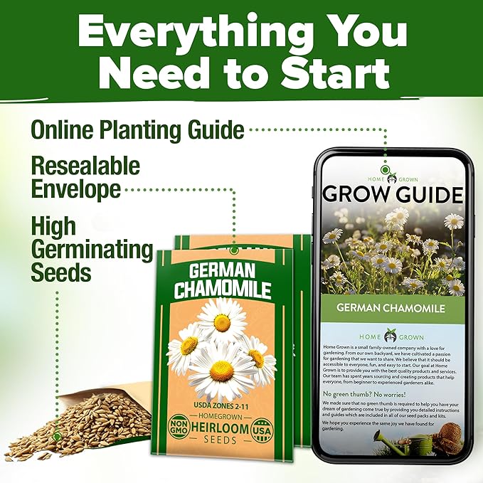 HOME GROWN German Chamomile Seed Pack – 4,560 Heirloom Seeds for Planting for Sustainable Gardens and Soothing Medicinal Herbal Teas (Matricaria chamomilla)