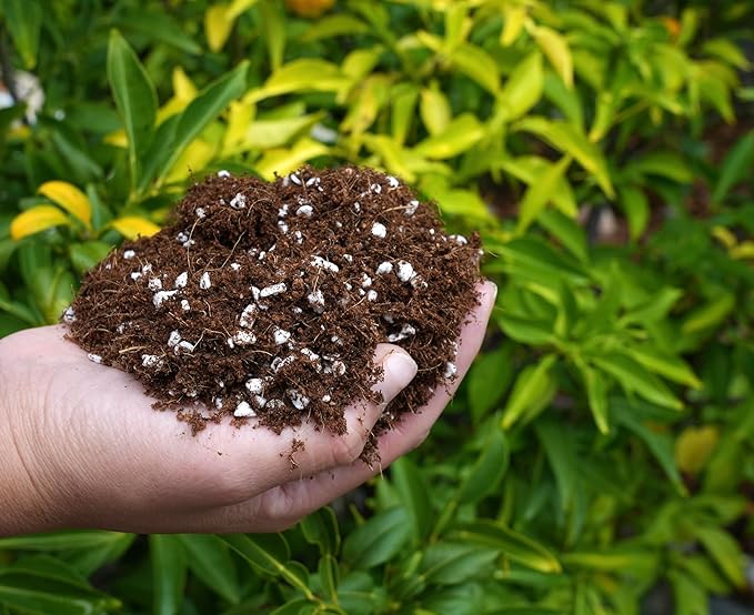 Happy Trees Coco Coir and Perlite 70/30 Growing Medium, Potting Mix, Seed-Starting, Premium Quality Triple-Washed for Low Salt/EC, pH Balanced Loose Coconut Fiber, Peat-Free, 50L (1.8 cu.ft.)