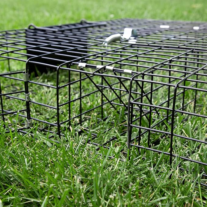 Rugged Ranch Squirrel Trap, Live Animal Catch & Release Cage, Squirrelinator, Black - Humane Indoor and Outdoor Catcher for Chipmunks and Squirrels