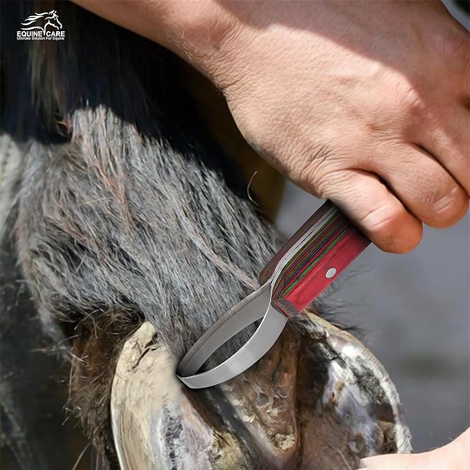 Double-Edged J2 Stainless Steel Hoof Trimming Loop Knife with Sheet Handle - Versatile Farrier Tool for Horse & Cow Hoof Care, Ideal for Farriers & Horse Owners.