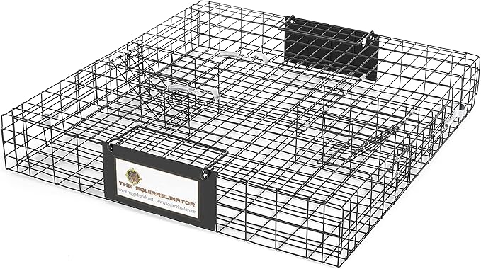 Rugged Ranch 4 Pack Squirrel Traps, Catch & Release Cage, Squirrelinator