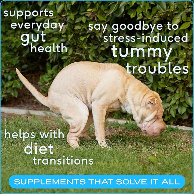 Native Pet Goat Milk Powder for Dogs (60 Scoops) & Probiotics for Dogs (30 Scoops) - Probiotics Powder for Digestive Health, Gut Support, & Immune Boost - Organic Goat Milk Powder